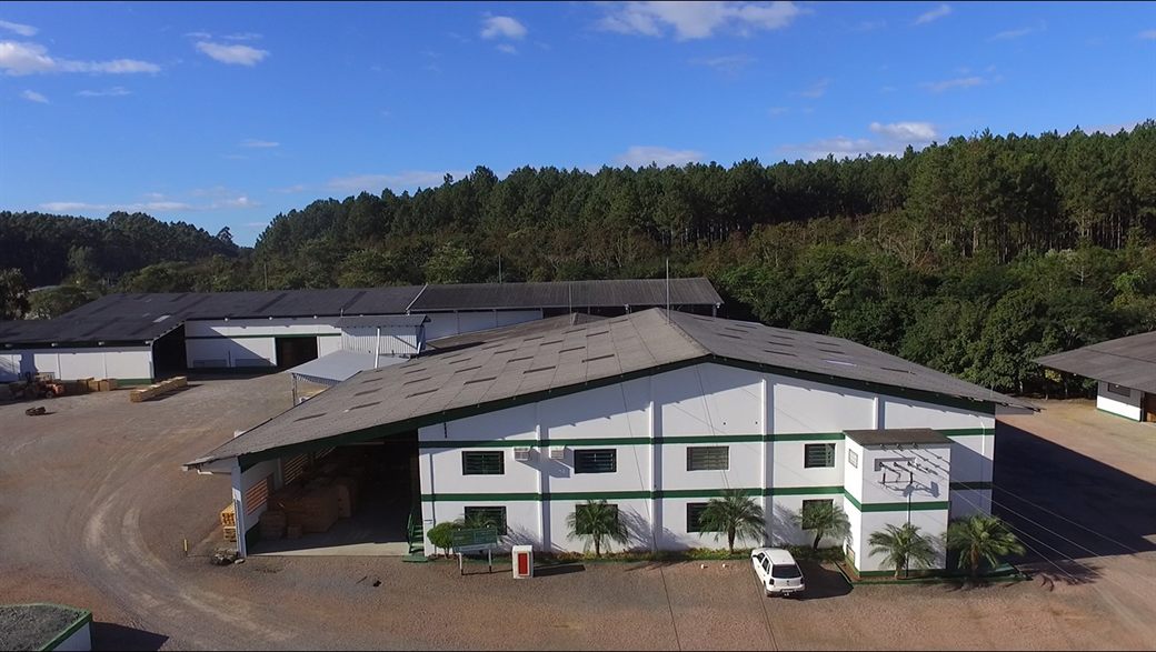 Vista aérea dos barracões da Scheller em Atalanta (SC), com o plantio de pinus ao fundo